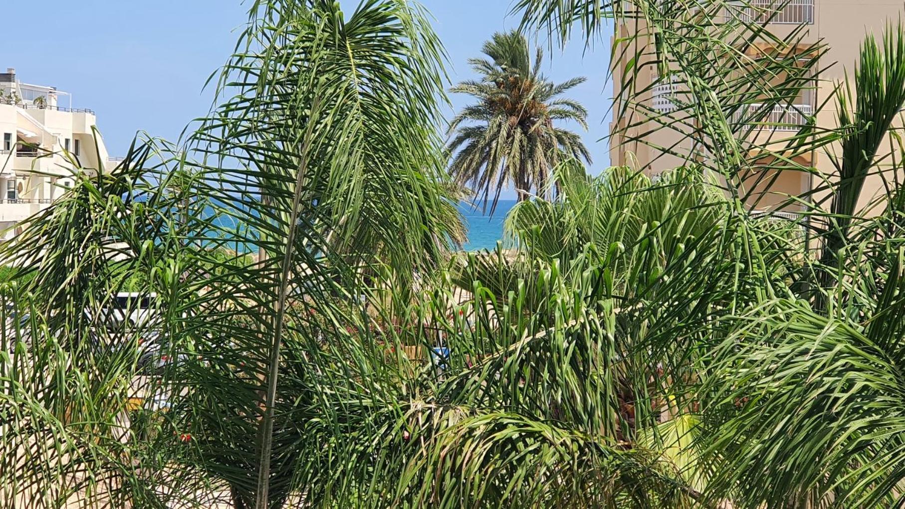 Poligono - Playa San Fernando Lägenhet Oliva Exteriör bild